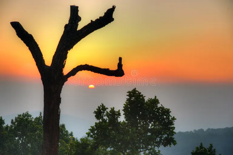 Dramatic Sunset