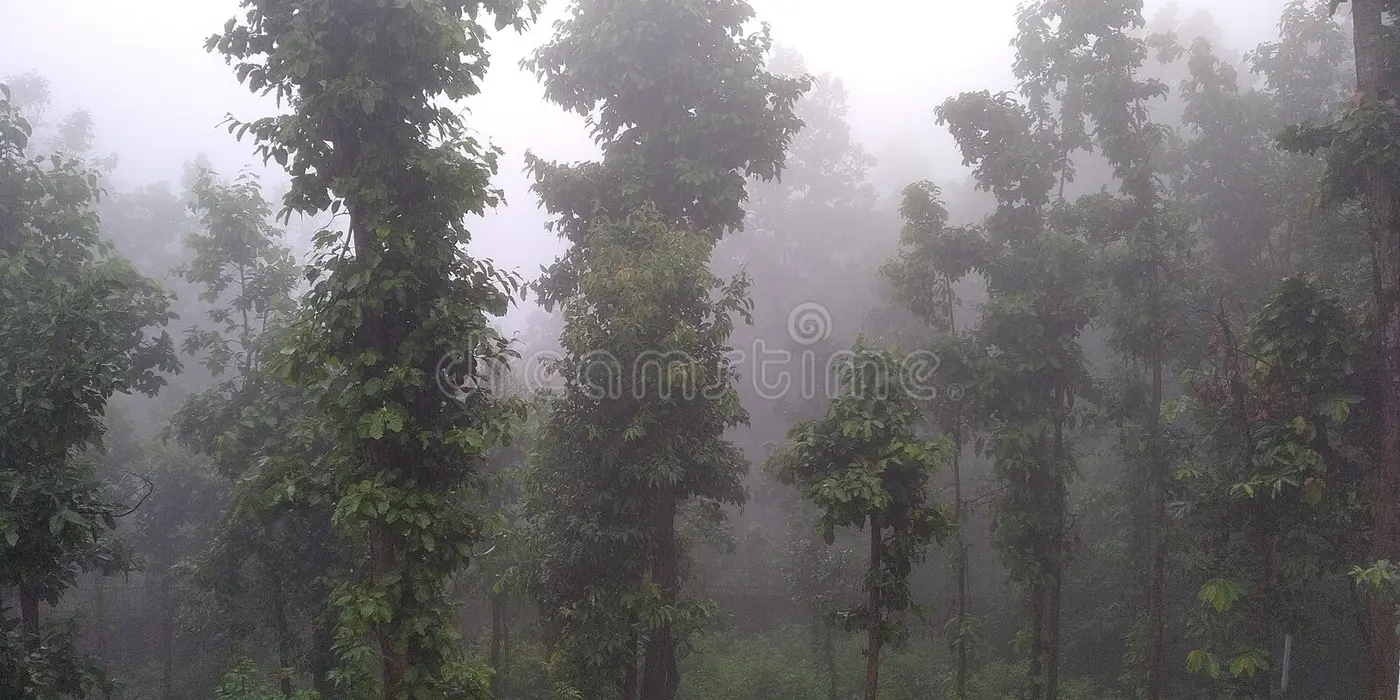 Misty Mountains
