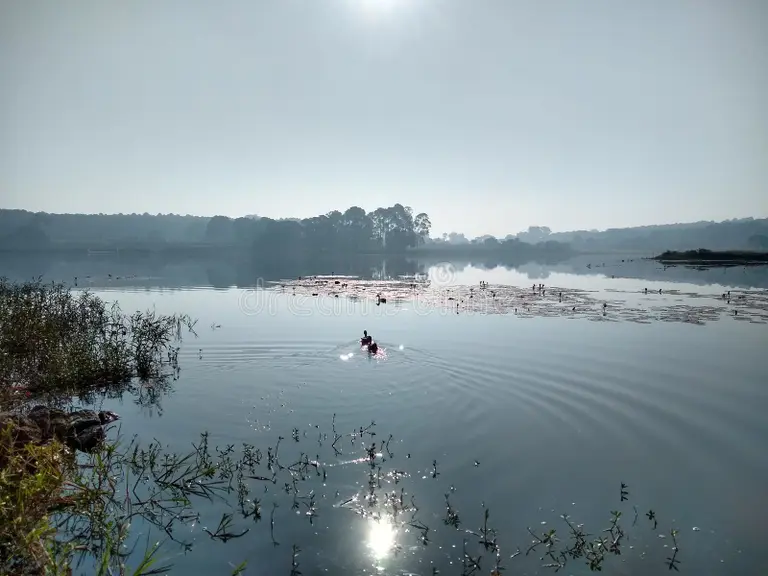 Morning Lake View