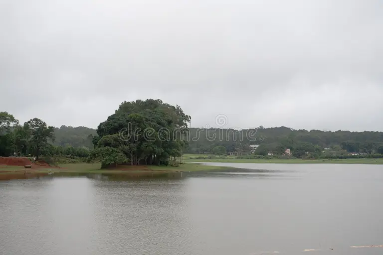Tranquil Lake