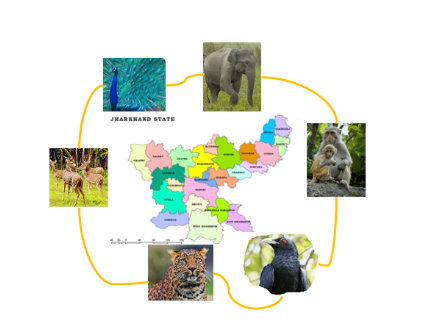 Animal Safety Manual For Adventure Trails in Jharkhand