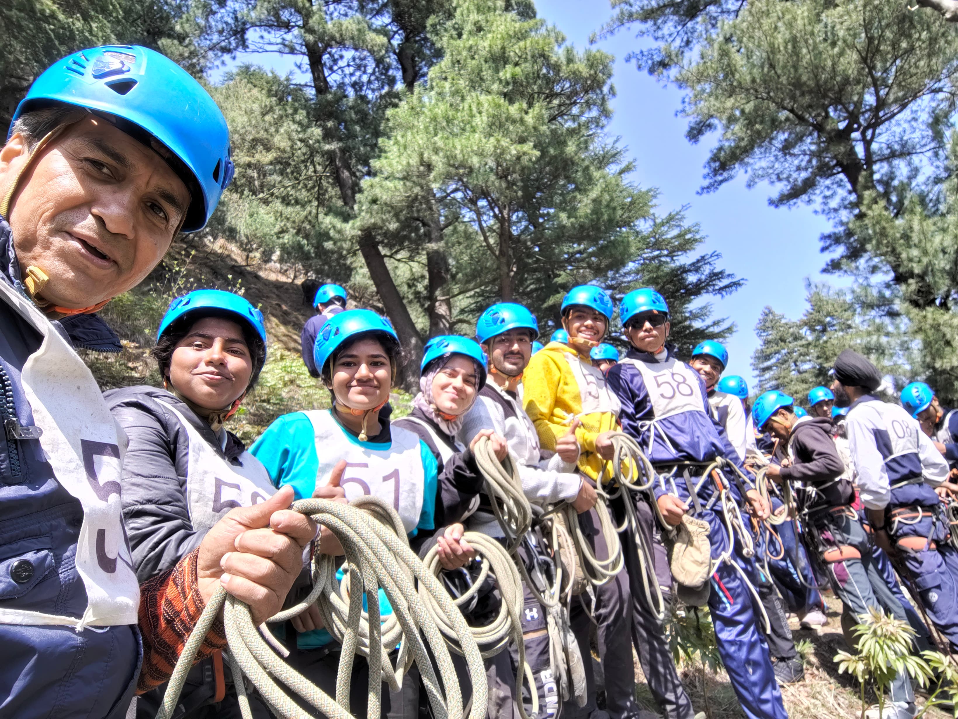 Forest Trek